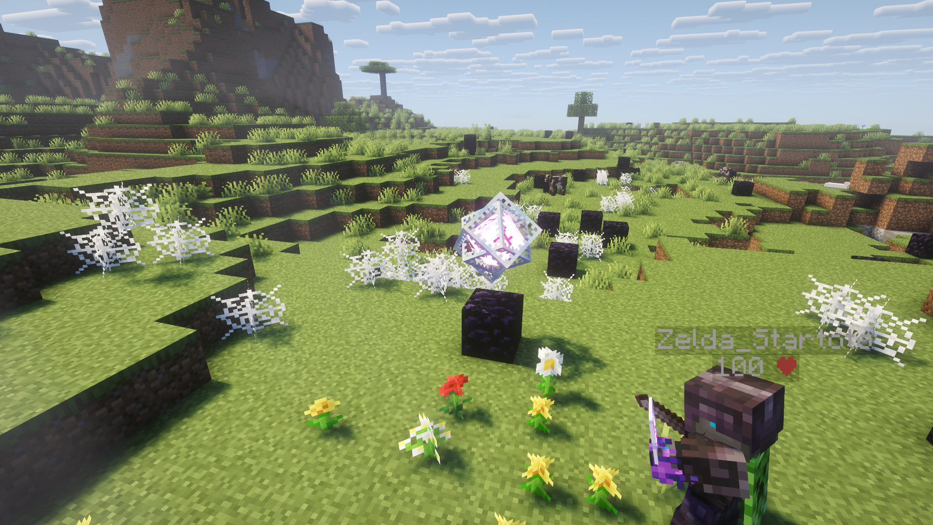 Joueur en train de faire exploser un cristal de l'End sur le Vortex SMP